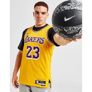 Detailed information about the product Nike NBA LA Lakers LeBron James #23 Icon Jersey