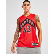 Detailed information about the product Nike NBA Toronto Raptors Siakam #43 Swingman Jersey