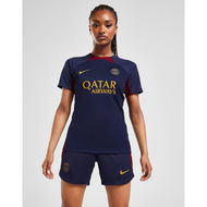 Detailed information about the product Nike Paris Saint Germain Strike Shorts