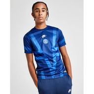 Detailed information about the product Nike Paris Saint Germain