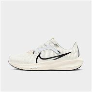 Detailed information about the product Nike Pegasus 40 Women's