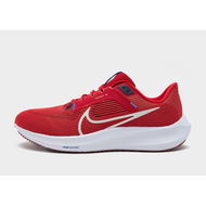 Detailed information about the product Nike Pegasus 40