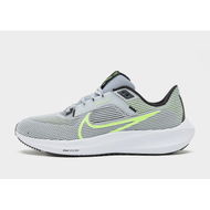 Detailed information about the product Nike Pegasus 40