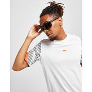 Detailed information about the product Nike Windshield Elite Sunglasses