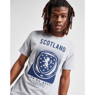 Detailed information about the product Official Team Scotland Fade T-Shirt