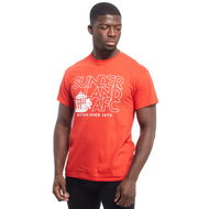 Detailed information about the product Official Team Sunderland Afc T-shirt