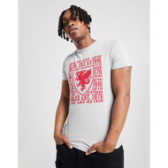 Detailed information about the product Official Team Wales 1876 Short Sleeve T-Shirt