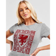 Detailed information about the product Official Team Wales 1876 T-Shirt