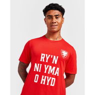 Detailed information about the product Official Team Wales Anthem T-Shirt