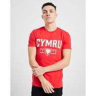 Detailed information about the product Official Team Wales Cymru Short Sleeve T-Shirt