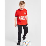 Detailed information about the product Official Team Wales Diolch T-Shirt Junior