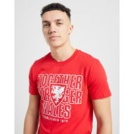 Detailed information about the product Official Team Wales Together Short Sleeve T-Shirt