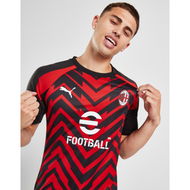 Detailed information about the product Puma AC Milan Pre Match Short Sleeve Shirt