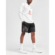 Detailed information about the product Puma AC Milan Training Shorts