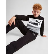 Detailed information about the product Puma Colour Block Hoodie Junior