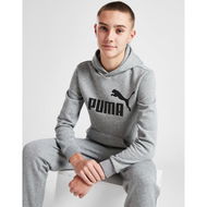 Detailed information about the product Puma Core Logo Overhead Hoodie Junior