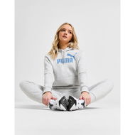 Detailed information about the product Puma Large Logo Hoodie