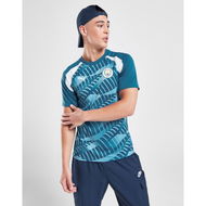 Detailed information about the product Puma Manchester City FC Pre Match Shirt