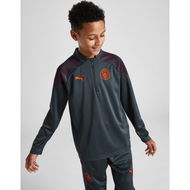 Detailed information about the product Puma Manchester City FC Quarter-zip Training Top Junior