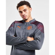 Detailed information about the product Puma Manchester City Fc Quarter-zip Training Top