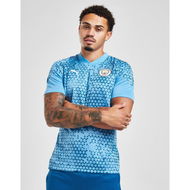 Detailed information about the product Puma Manchester City FC Training Short Sleeve Shirt