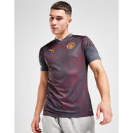 Detailed information about the product Puma Manchester City FC Training Top
