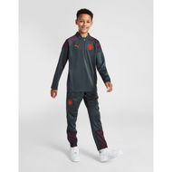 Detailed information about the product Puma Manchester City FC Training Track Pants Junior