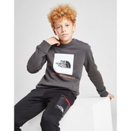 Detailed information about the product The North Face Box Logo Crew Sweatshirt Junior