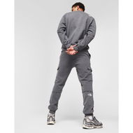 Detailed information about the product The North Face Cargo Tape Joggers