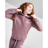 Detailed information about the product The North Face Girls Back Hit Hoodie Junior