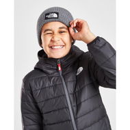 Detailed information about the product The North Face Logo Beanie Kids