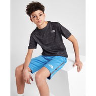 Detailed information about the product The North Face Train & Logo Tape Shorts Junior.