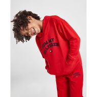 Detailed information about the product Tommy Hilfiger Flag Logo Hoodie Children