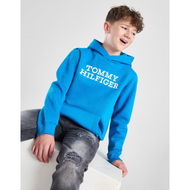 Detailed information about the product Tommy Hilfiger Raised Logo Hoodie Junior