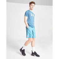 Detailed information about the product Under Armour Woven Fade Shorts Junior