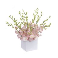 Detailed information about the product Allegra Flowers