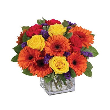 Navigate the Best Thank You Deals - RedTicket