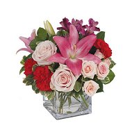 Detailed information about the product Elegant Mum Flowers