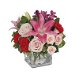 Elegant Mum Flowers. Available at Petals for $100.00