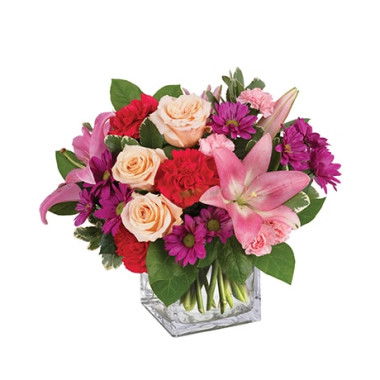 Your New Born Savings Start Here - RedTicket