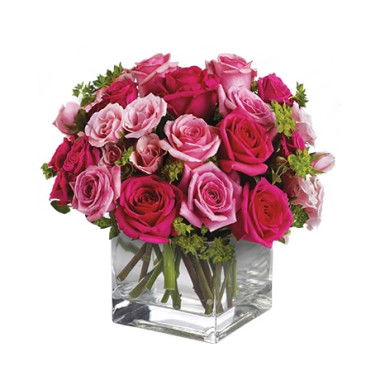 Your Valentines Day Discount Hub - RedTicket