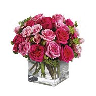 Detailed information about the product Fairytale Ending Roses