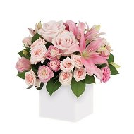 Detailed information about the product First Blush Flowers