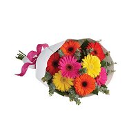 Detailed information about the product Gerbera Brights Flowers