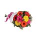 Gerbera Brights Flowers. Available at Petals for $93.00