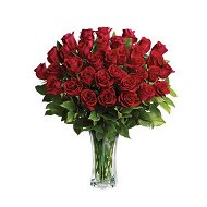 Detailed information about the product Love And Devotion Roses