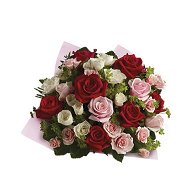 Detailed information about the product Love Letters Roses