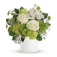 Detailed information about the product Mums Gift Flowers