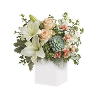 Best Deals on Thank You - RedTicket