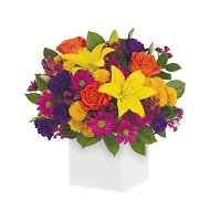 Detailed information about the product Rainbow Surprise Flowers
